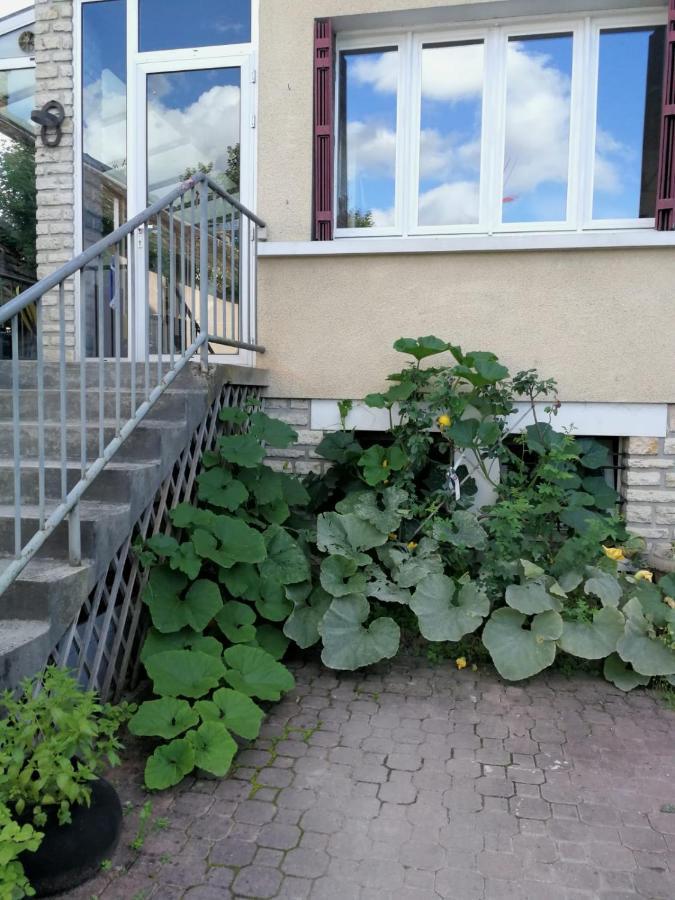 Un Verger Dans La Ville Saint-Parres-aux-Tertres Luaran gambar