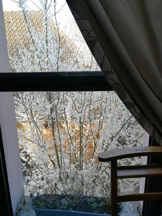 Un Verger Dans La Ville Saint-Parres-aux-Tertres Luaran gambar